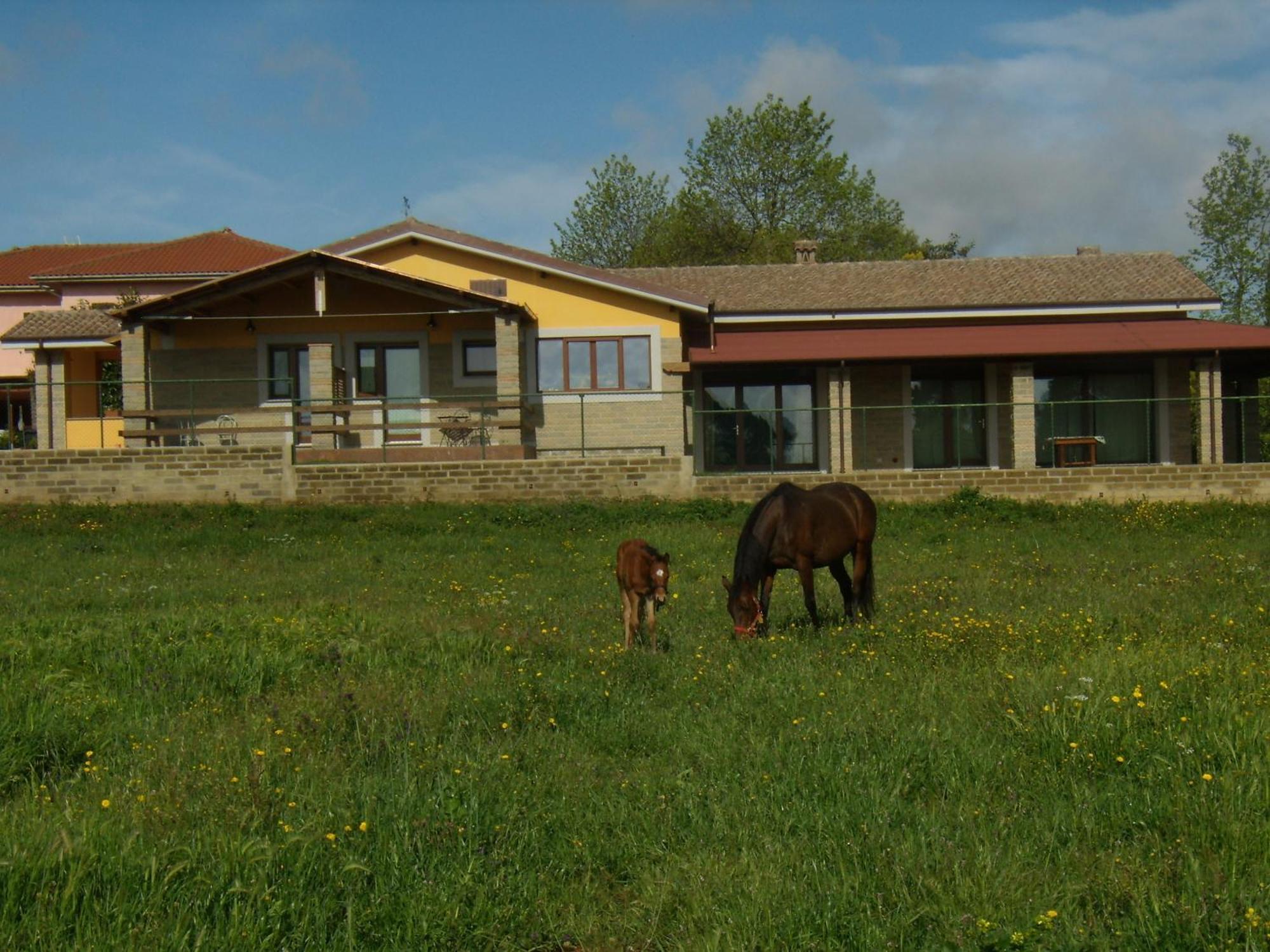 Agriturismo L.B.Stud Брачано Екстериор снимка