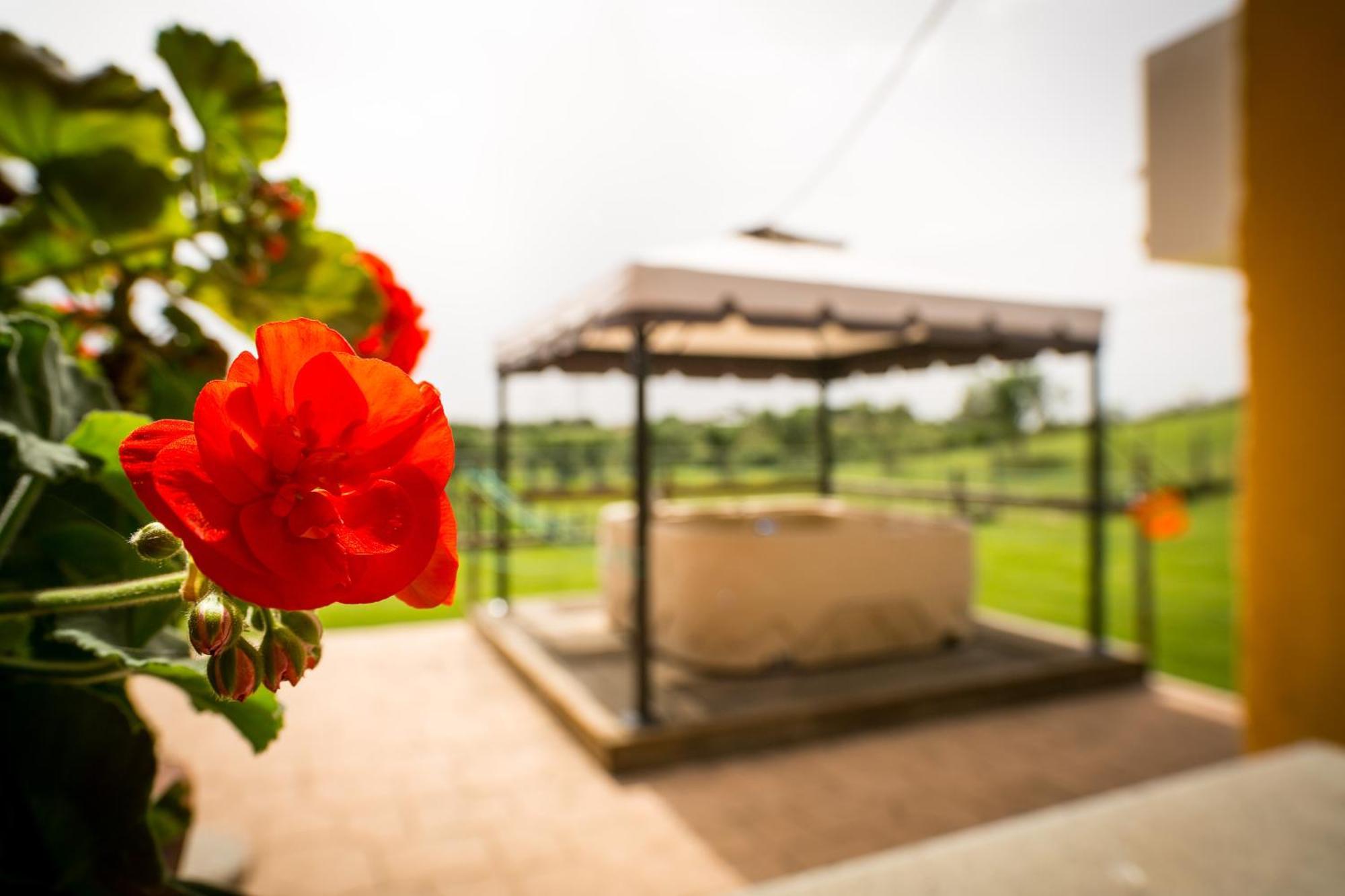 Agriturismo L.B.Stud Брачано Стая снимка
