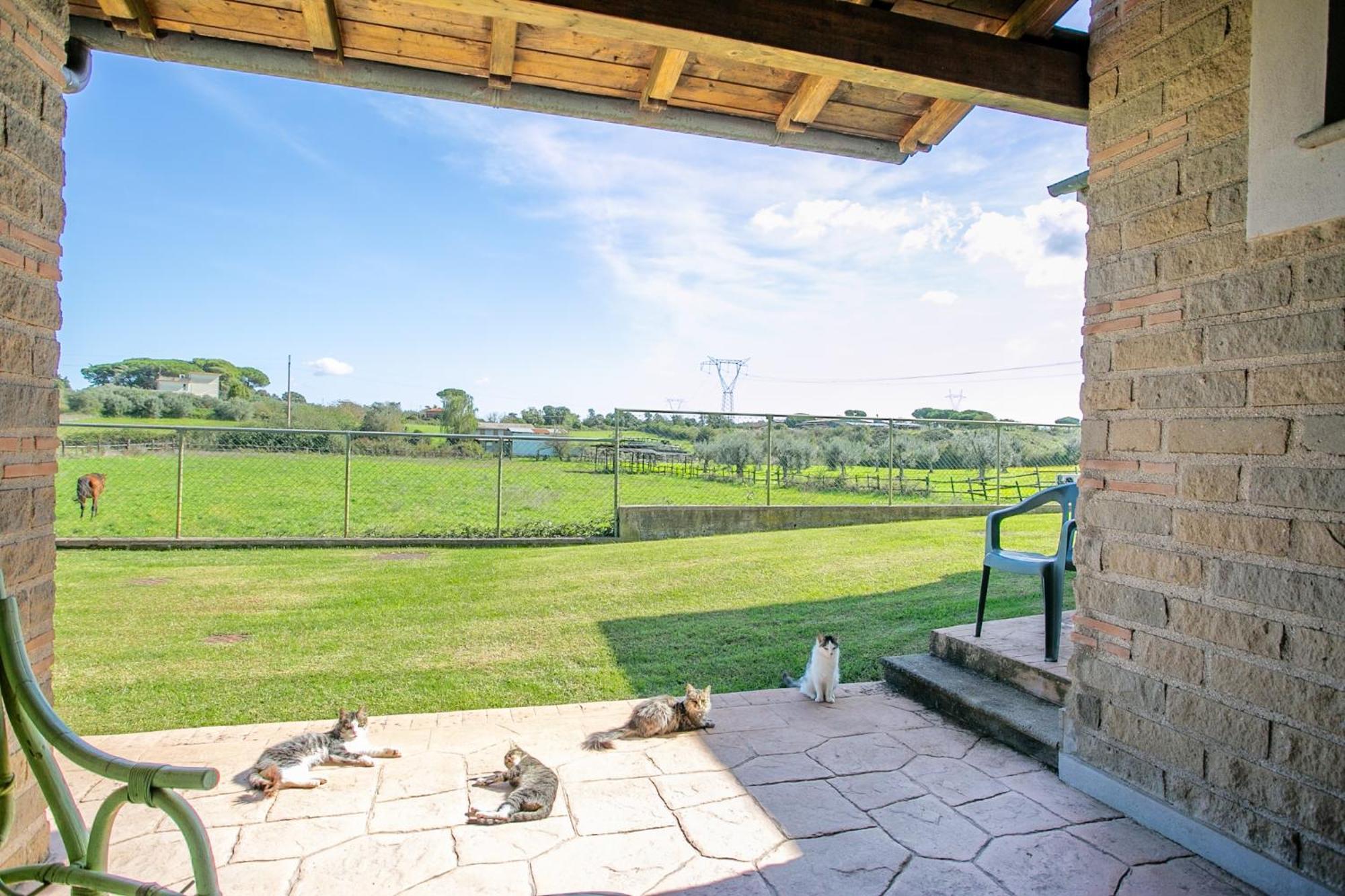 Agriturismo L.B.Stud Брачано Екстериор снимка