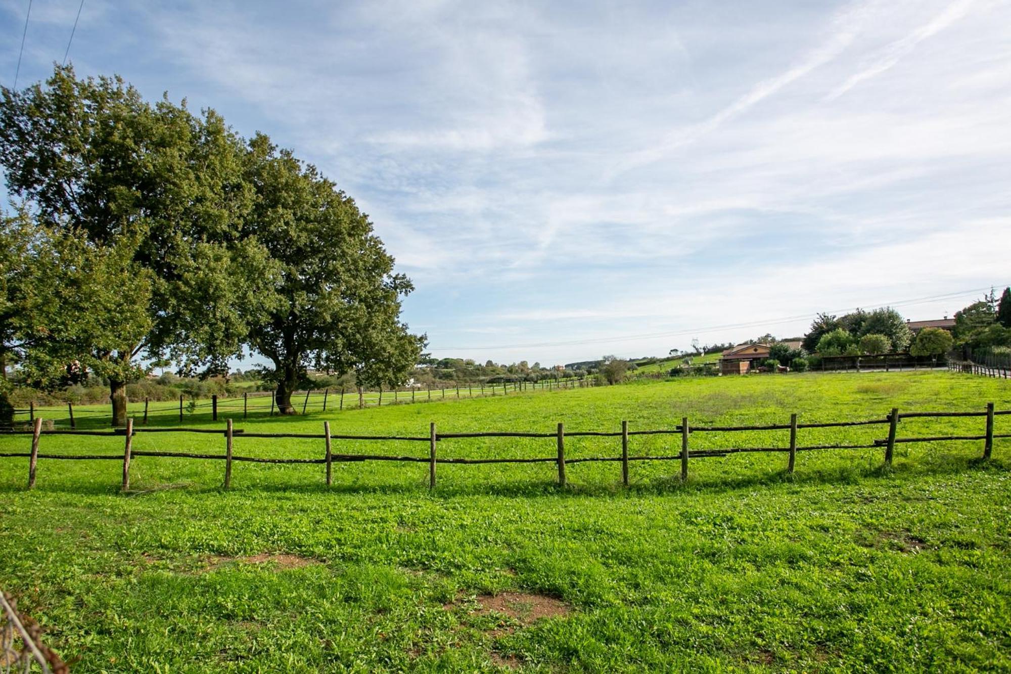 Agriturismo L.B.Stud Брачано Екстериор снимка
