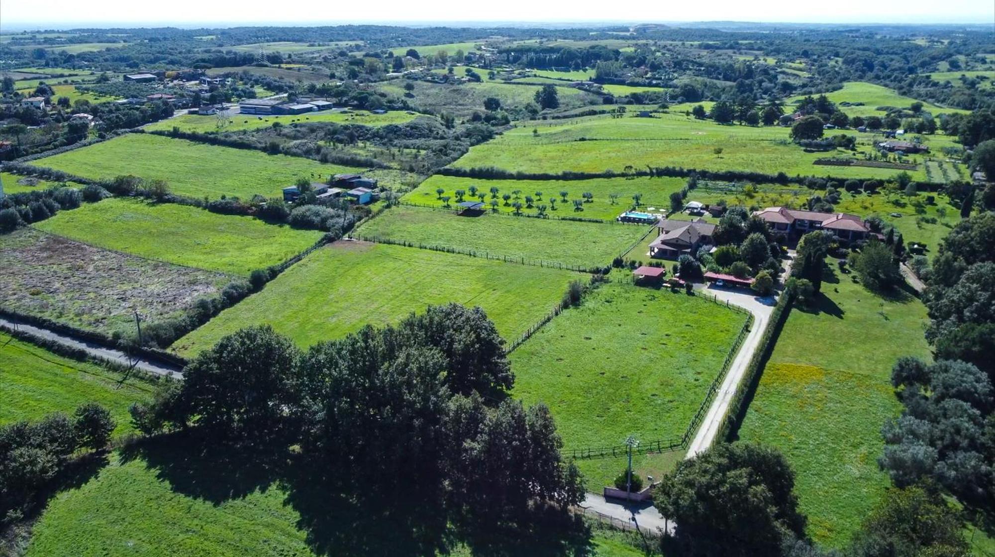 Agriturismo L.B.Stud Брачано Екстериор снимка