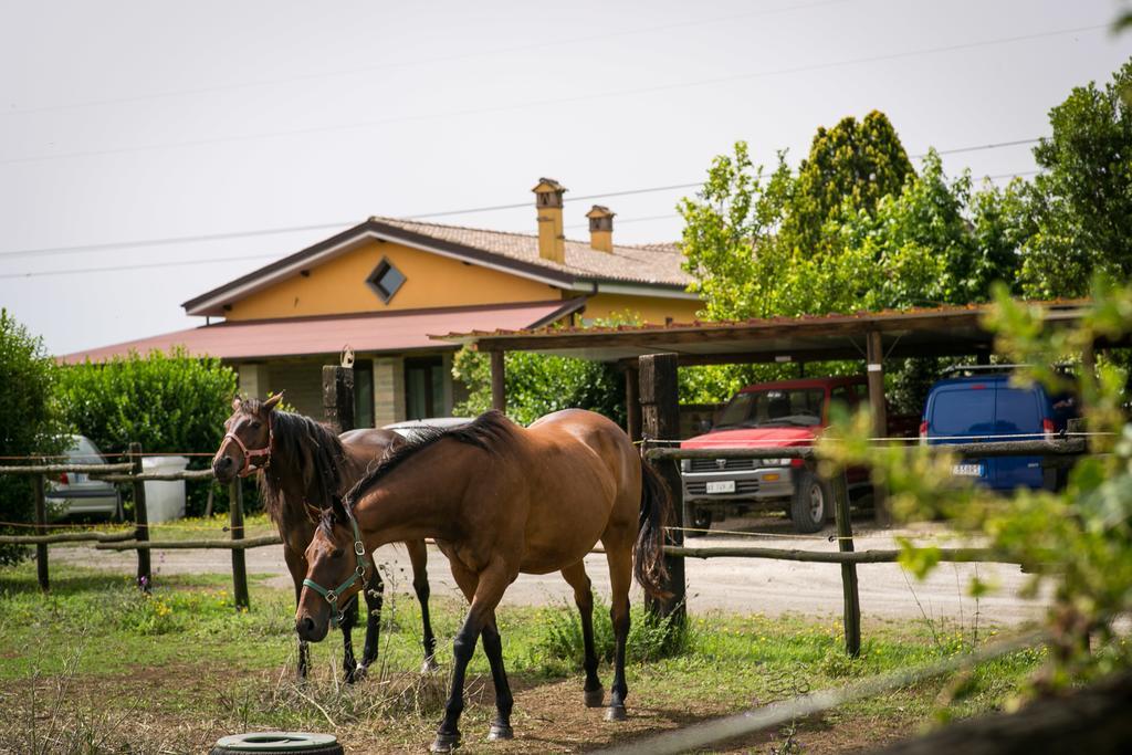 Agriturismo L.B.Stud Брачано Екстериор снимка