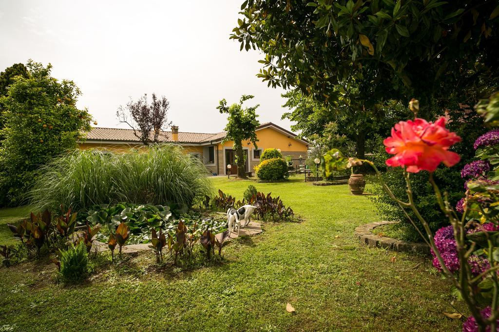 Agriturismo L.B.Stud Брачано Екстериор снимка