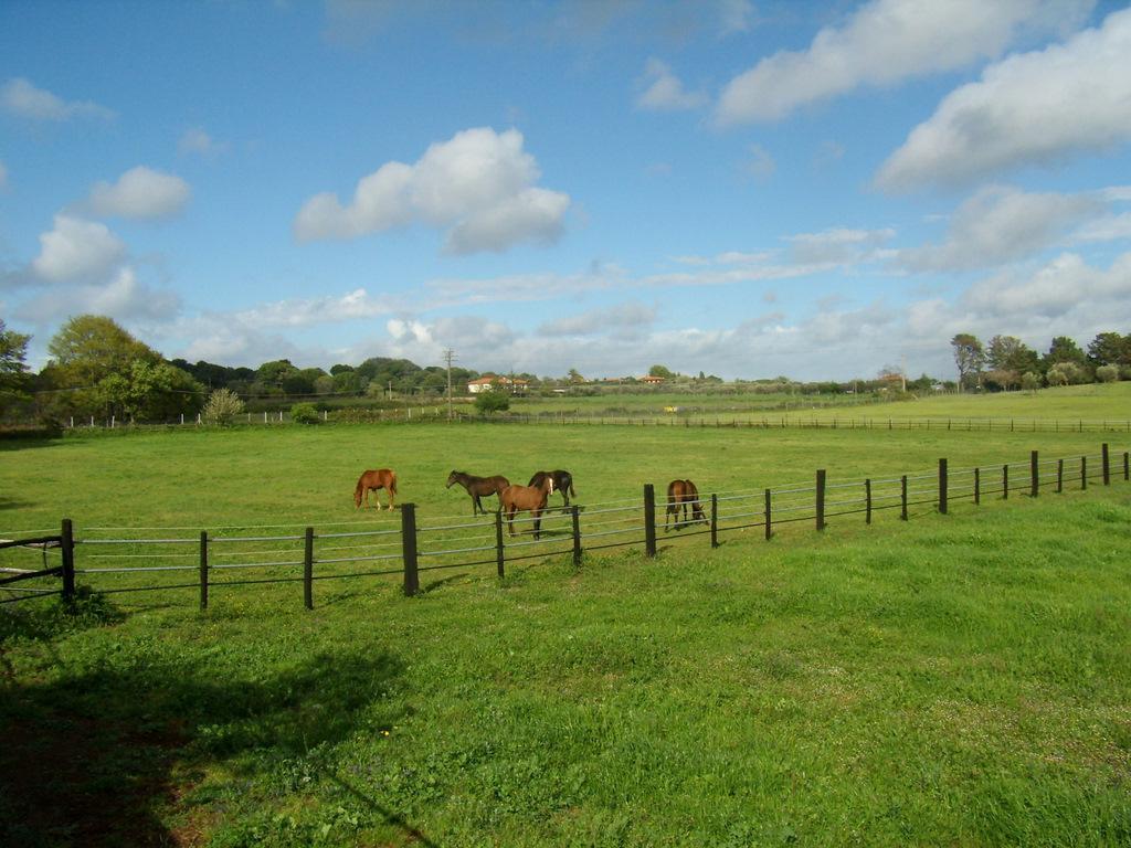 Agriturismo L.B.Stud Брачано Екстериор снимка